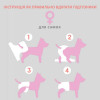 MISOKO&CO Одноразові підгузки для собак-сук  з індикатором вологості та ароматом персика (цуценята) XS, 12 шт  - зображення 5