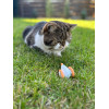 Cheerble Інтерактивна іграшка для котів Wicked Mouse C0821 White-Orange - зображення 5