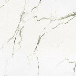 Megagres Carrara 60x60 white gloss rect