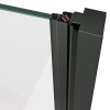 Ravak Cool COSD2-120 чорні+Transparent X0VVGC300Z1 - зображення 4