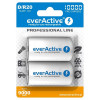 everActive D 10000mAh NiMh 2шт Professional Line EVHRL20-10000 - зображення 1