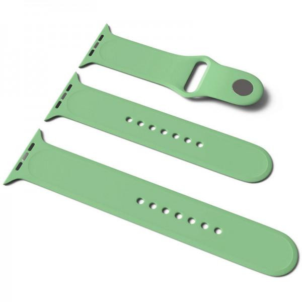 Epik Силиконовый ремешок для Apple Watch Sport Band 42 / 44 (S/M & M/L) 3pcs Мятный / Mint - зображення 1