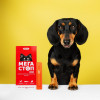 ProVET Краплі  Мегастоп Ультра для собак 4-10 кг 4 піпетки по 1.0 мл (інсектоакарицид антигельмінтик) (4823 - зображення 5