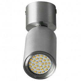   Brille Светильник Downlight AL-79/1 GU10 Alum IP20 (26-808)