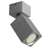 Brille Светильник Downlight AL-80/1 GU10 Alum IP20 (26-812) - зображення 2