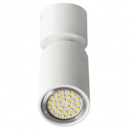   Brille Светильник Downlight AL-79/1 GU10 SWH IP20 (26-809)