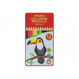 Cool For School Цветные карандаши CFS Premium "Попугай".