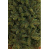 TriumphTree Штучна сосна Forest Frosted 2,6 м Зелена з інеєм (8711473151527) - зображення 5
