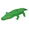 Jilong Крокодил (JL37255) - зображення 1