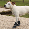 Ferplast 86801017 Обувь защитная для собак Ferplast PROTECTIVE SHOES черная - зображення 3