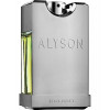 Alyson Oldoini Black Violet Парфюмированная вода для женщин 100 мл - зображення 1