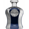 Afnan Perfumes Highness VI  Парфюмированная вода 100 мл - зображення 1