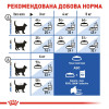 Royal Canin Indoor Long Hair 10 кг (2549100) - зображення 3