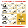 Royal Canin Bengal Adult 0,4 кг (4370004) - зображення 3