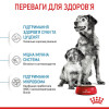 Royal Canin Medium Starter 12 кг (2993120) - зображення 2