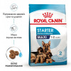 Royal Canin Maxi Starter 15 кг (2994150) - зображення 4