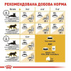 Royal Canin Siamese Adult 2 кг (2551020) - зображення 3