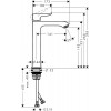 Hansgrohe Metris 31185000 - зображення 2