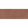 Laminam Calce Terracotta 100x300x5 - зображення 1