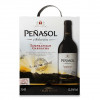 Penasol Вино  Tempranillo BiB, 3 л (8410702000789) - зображення 1