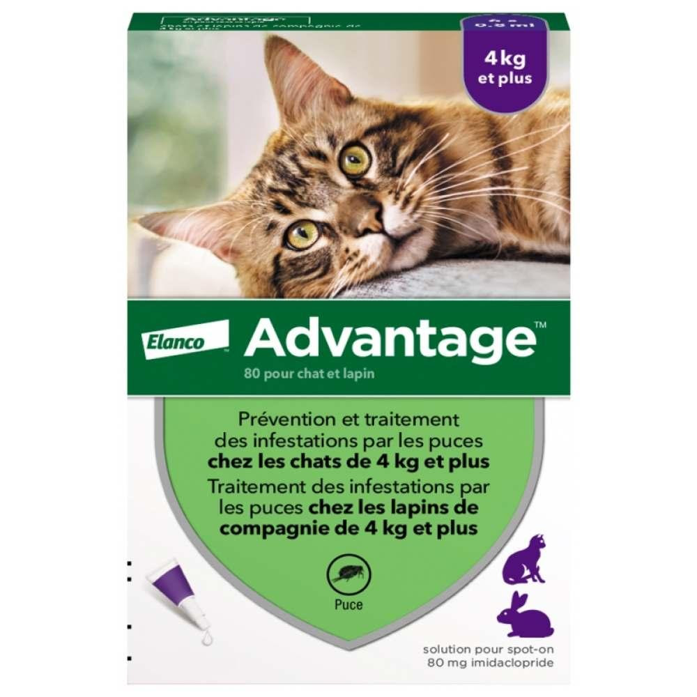 Bayer Advantage 80 для кошек и кроликов от 4 до 8 кг 1 пипетка - зображення 1