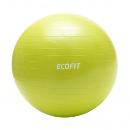 EcoFit 65 см (MD1225)