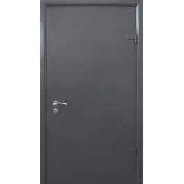 Страж Техническая Techno-door RAL 9975 графит