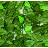 Engard Декоративне зелене покриття  "Молоде листя", 100х300 см (GC-03) - зображення 2