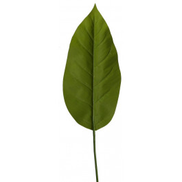 Engard Штучне листя  Spathiphyllum 65 см (DW-33)