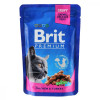 Brit Premium Cat Chicken & Turkey 100 г (8595602506019) - зображення 1