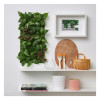 IKEA FEJKA Штучна рослина настінна/кімнатна/вулична зелена/бузкова, 26x26 см (505.465.69) - зображення 2