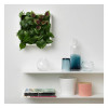 IKEA FEJKA Штучна рослина настінна/кімнатна/вулична зелена/бузкова, 26x26 см (505.465.69) - зображення 3