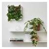 IKEA FEJKA Штучна рослина настінна/кімнатна/вулична зелена/бузкова, 26x26 см (505.465.69) - зображення 6