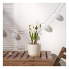 IKEA FEJKA Штучна рослина в горщику, нарцис кімнатний/вуличний/білий, 12 см (305.716.87) - зображення 3