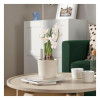 IKEA FEJKA Штучна рослина в горщику, нарцис кімнатний/вуличний/білий, 12 см (305.716.87) - зображення 5