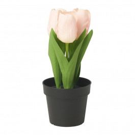 IKEA FEJKA Штучна рослина в горщику, кімнатна/вулична/Тюльпан рожевий, 9 см (605.716.81)