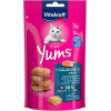 Vitakraft Yums лосось і Омега-3 40 г (4008239288233) - зображення 1