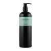 Valmona Шампунь для волос  Аюрведа Ayurvedic Scalp Solution Black Cumin Shampoo 480 мл (8802929883205) - зображення 1