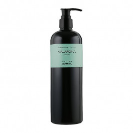 Valmona Шампунь для волос  Аюрведа Ayurvedic Scalp Solution Black Cumin Shampoo 480 мл (8802929883205)