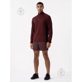   4F Спортивні шорти  Shorts Fnk M290 4FAW23TFSHM290-20S S (5904698519248)