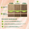 Palette Стойкая крем-краска для волос Schwarzkopf  Naturals без аммиака L6-0 Скандинавский блондин (Осветите - зображення 5