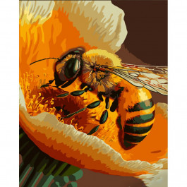 STRATEG Картина за номерами ПРЕМІУМ Любителька меду з лаком розміром 30х40 см SS6778