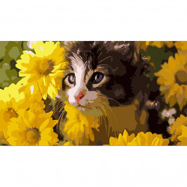 STRATEG Картина за номерами Котик у квітах розміром 50х25 см WW195