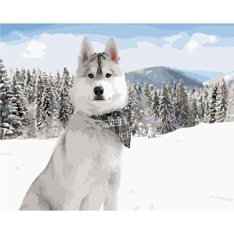 STRATEG Картина за номерами ПРЕМІУМ Біла хаскі серед снігу з лаком та з рівнем розміром 40х50 см GS1574 - зображення 1