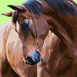 STRATEG Картина за номерами ПРЕМІУМ Гордий кінь розміром 40х40 см SK026