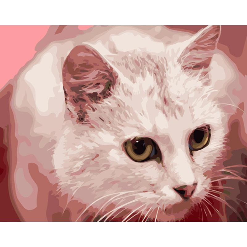 STRATEG Картина за номерами ПРЕМІУМ Жовтоокий кіт з лаком розміром 40х50 см GS1325 - зображення 1