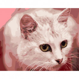 STRATEG Картина за номерами ПРЕМІУМ Жовтоокий кіт з лаком розміром 40х50 см GS1325