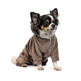 Pet Fashion Костюм для собак  «Soft» S (PR242789)