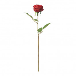 IKEA SMYCKA Штучна квітка кімнатна/троянда/Червона 95 95 (95.95.95)