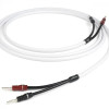 Chord CHORD C-screen Speaker Cable 3m terminated pair - зображення 1